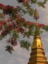 Golden stupa over the Luang Poo memorial cave temple.